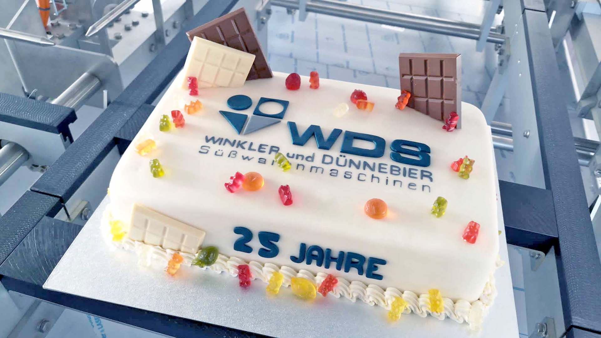 WDS 25 years cake